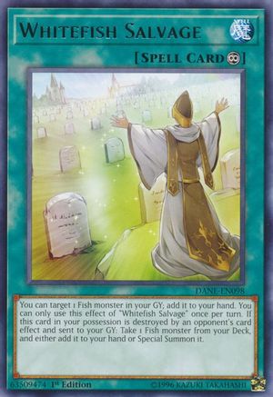 Whitefish Salvage (DANE-EN098) - Rare - Dark Neostorm