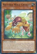 Naturia Mole Cricket DABL-EN020 (Darkwing Blast)  - 1st Edition
