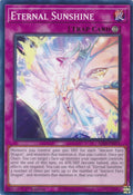 Eternal Sunshine ALIN-EN071 (Alliance Insight)  - 1st Edition