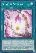 Sunvine Sowing MP22-EN223 (2022 Tin of the Pharaoh's Gods)  - 1st Edition