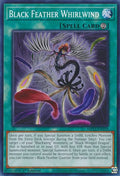 Black Feather Whirlwind MP23-EN195 (25th Anniversary Tin: Dueling Heroes Mega Pack)  - 1st Edition