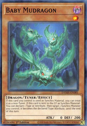 Baby Mudragon (DAMA-EN081) - Common - 1st Edition - Dawn of Majesty