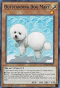 Outstanding Dog Mary BODE-EN035 (Burst of Destiny)  - 1st Edition