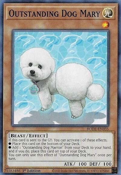 Outstanding Dog Mary BODE-EN035 (Burst of Destiny)  - 1st Edition