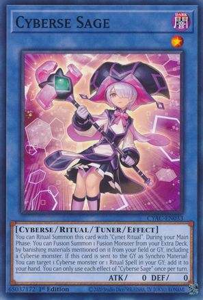 Cyberse Sage (CYAC-EN033) - Common - Cyberstorm Access