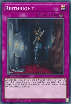 Birthright (SBC1-ENG18) - Common - Speed Duel: Streets of Battle City