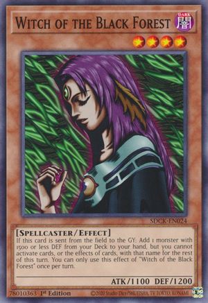 Witch of the Black Forest (SDCK-EN024) - Common - 1st Edition - Structure Deck: The Crimson King