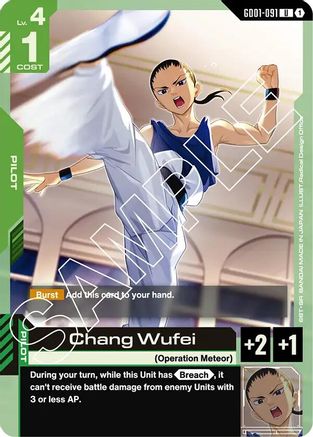 Chang Wufei (GD01-091) -  - Newtype Rising