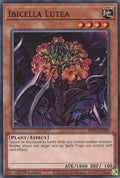 Ibicella Lutea MP21-EN009 (2021 Tin of Ancient Battles)  - 1st Edition