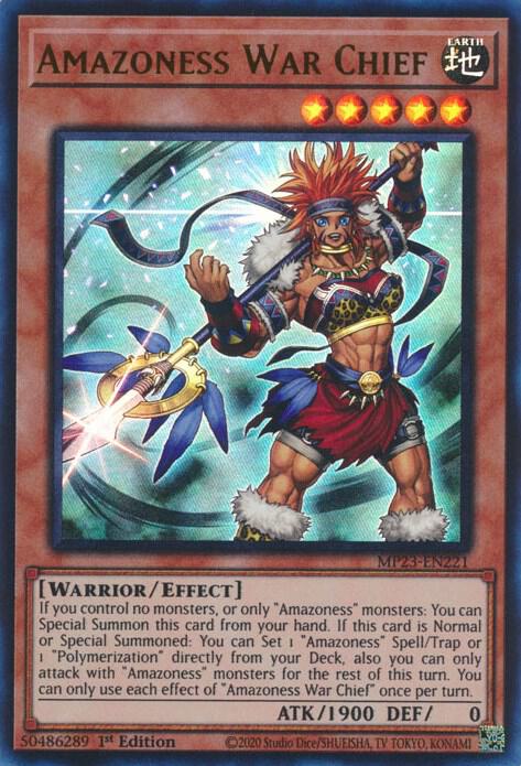 Amazoness War Chief MP23-EN221 (25th Anniversary Tin: Dueling Heroes Mega Pack)  - 1st Edition