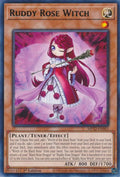 Ruddy Rose Witch MP22-EN061 (2022 Tin of the Pharaoh's Gods)  - 1st Edition