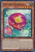 Naturia Camellia MP23-EN171 (25th Anniversary Tin: Dueling Heroes Mega Pack)  - 1st Edition