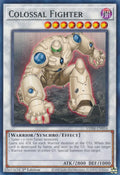 Colossal Fighter VASM-EN054 (Valiant Smashers)  - 1st Edition