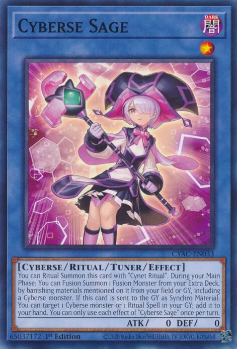 Cyberse Sage CYAC-EN033 (Cyberstorm Access)  - 1st Edition