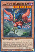 Danger Thunderbird SR13-EN019 (Structure Deck: Dark World)  - 1st Edition