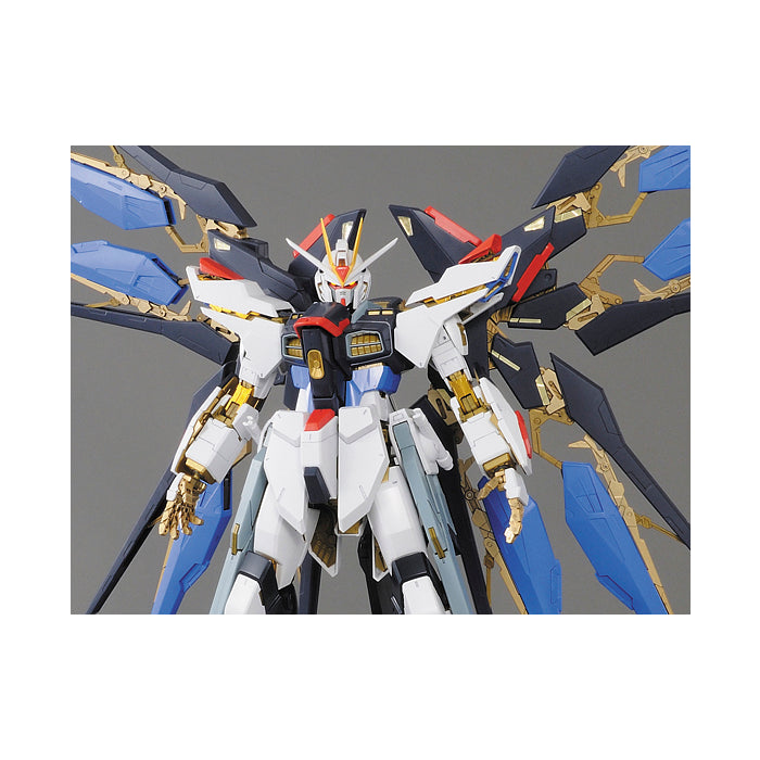 PG 1/60 STRIKE FREEDOM GUNDAM