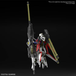 HGCE 1/144 Destiny Gundam Spec II & Zeus Silhouette