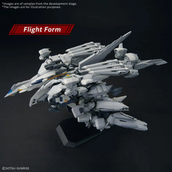 HG 1/144 Alyzeus