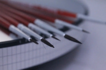 VP Leonhardy 6pc School Brush Set