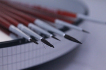 VP Leonhardy 6pc School Brush Set