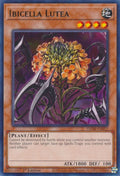 Ibicella Lutea VASM-EN052 (Valiant Smashers)  - 1st Edition