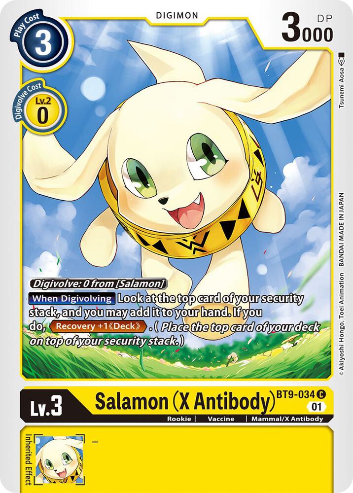 Salamon X Antibody BT9-034 C (X Record) 