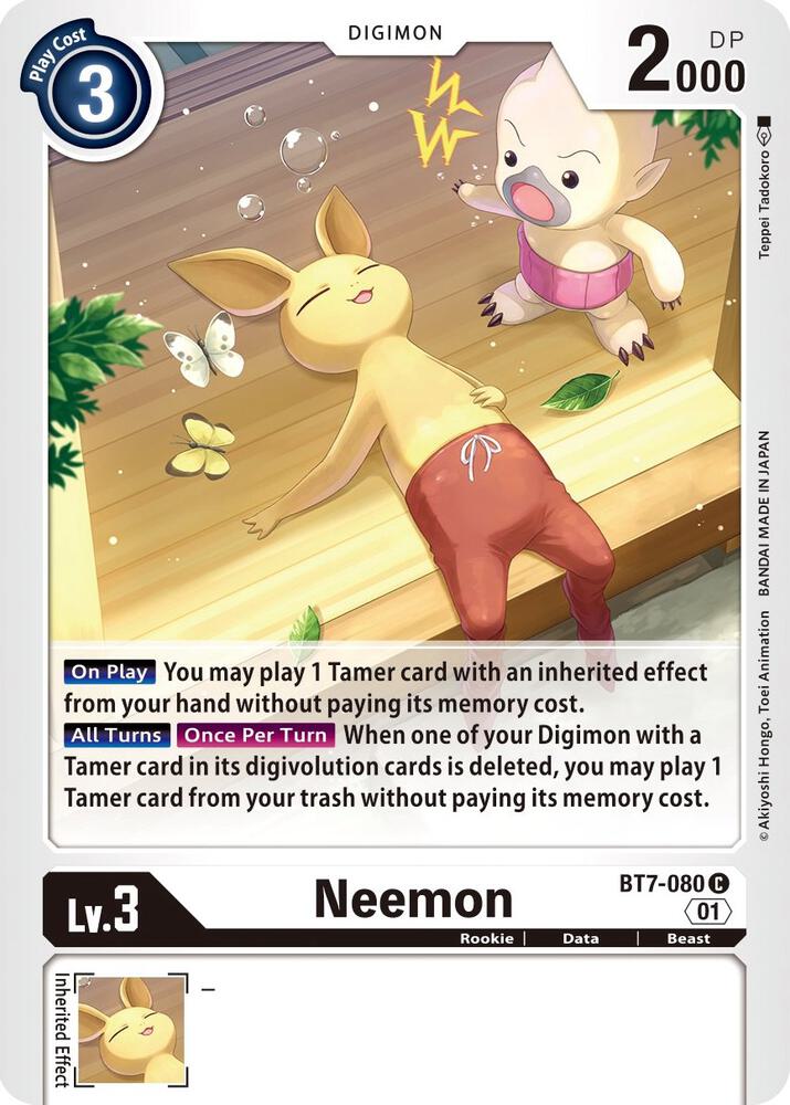 Neemon BT7-080 C (Next Adventure) 