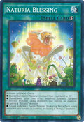 Naturia Blessing DABL-EN064 (Darkwing Blast)  - 1st Edition