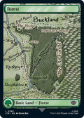 Forest 280 (Universes Beyond: The Lord of the Rings: Tales of Middle-earth)  - Full Art