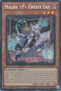 Maliss P Chessy Cat MP25-EN123 (2025 Mega-Pack)  - 1st Edition