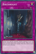 Birthright SBC1-ENG18 (Speed Duel: Streets of Battle City)  - 1st Edition