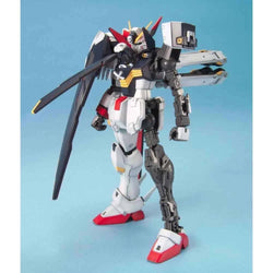 MG 1/100 Crossbone Gundam Full Cloth