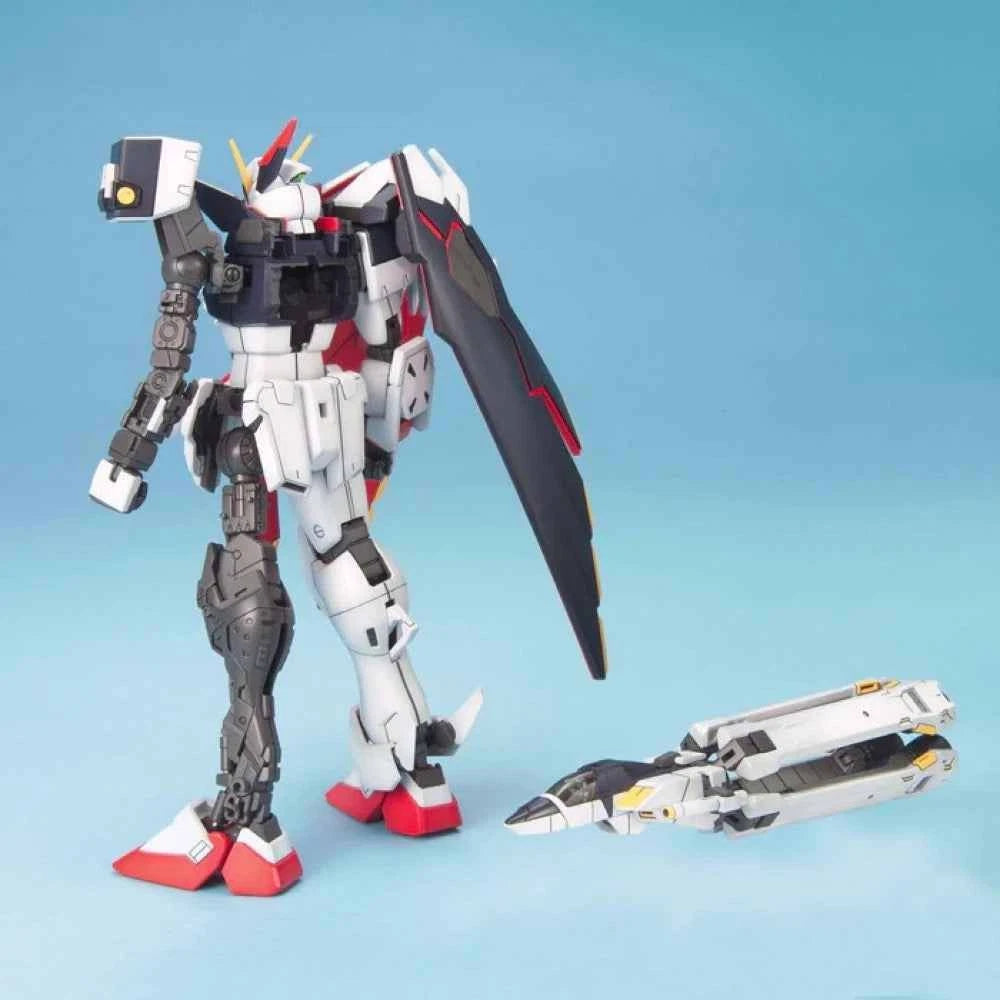 MG 1/100 Crossbone Gundam Full Cloth