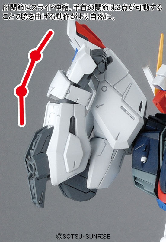 MG 1/100 FREEDOM GUNDAM Ver.2.0