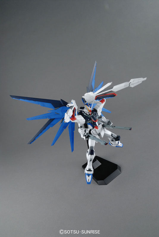 MG 1/100 FREEDOM GUNDAM Ver.2.0